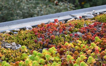 the cost of Walters Green green roof installation