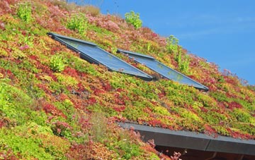 Walters Green living roof systems