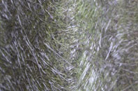 Walters Green fibreglass roof work